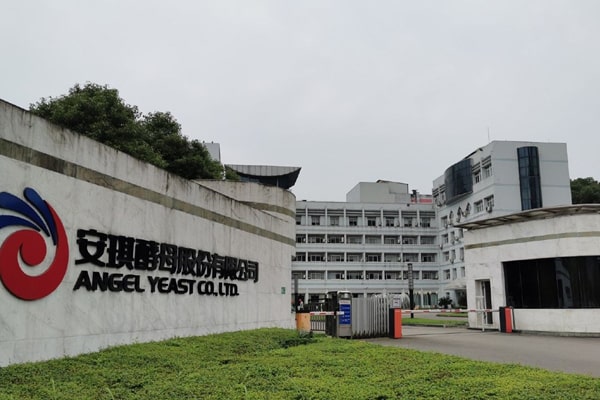 湖北安琪酵母股份有限公司采購恒美測土儀
