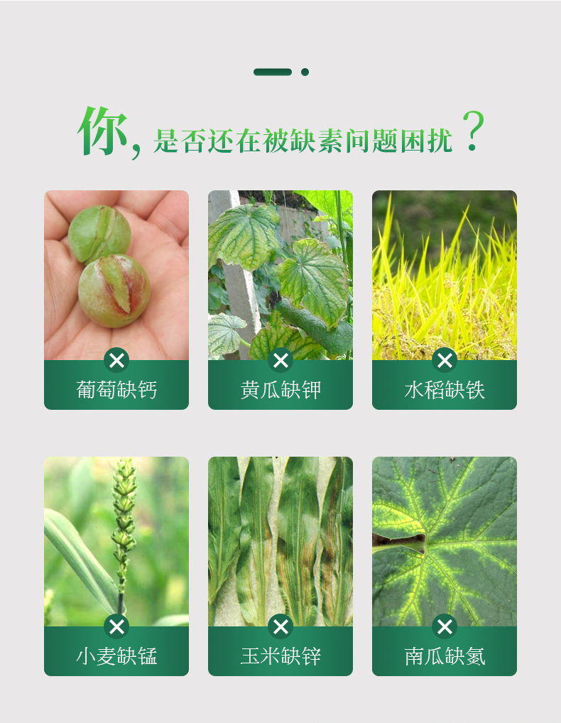 土壤檢測儀